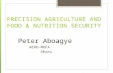 PRECISION AGRICULTURE AND FOOD & NUTRITION SECURITY Peter Aboagye WIAD-MOFA Ghana.