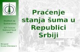 Institut za šumarstvo Praćenje stanja šuma u Republici Srbiji Beograd Kneza Višeslava 3 ICP Forests National focal center.