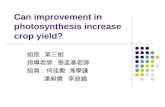 Can improvement in photosynthesis increase crop yield? 組別 : 第三組 指導老師 : 張孟基老師 組員 : 何佳勳 馮學謙 潘昶儒 李政錩.