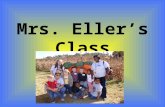 Mrs. Eller’s Class. Chandler, David, Bryson, and Zack clowning around.