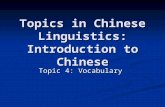 Topics in Chinese Linguistics: Introduction to Chinese Topic 4: Vocabulary.