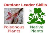 Outdoor Leader Skills Native Plants Poisonous Plants.
