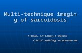 Multi-technique imaging of sarcoidosis A.Balan, E.T.D.Hoey, F.Sheerin A.Balan, E.T.D.Hoey, F.Sheerin Clinical Radiology 65(2010)750-760 Clinical Radiology.