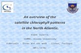 An overview of the satellite chlorophyll patterns in the North Atlantic. André Valente CCMMG, Azores University Eumetrain - Ocean and sea week - Lisbon,
