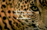 HUMANS AND NON-HUMANS A Spectrum “ Western ” paradigm emphasizes gulf between humans and animals ■ Religious traditions: humans as “the crown of creation”,