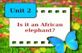 Is it an African elephant? Unit 2. Continents in the world Asia Europe Africa Oceania South America North America.