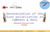 Determination of the gluon polarisation at COMPASS & RHIC Sébastien Procureur (CEA - Saclay) Determination of  G at COMPASS & RHICPAVI06, Milos S.Procureur.