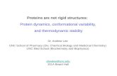 Proteins are not rigid structures: Protein dynamics, conformational variability, and thermodynamic stability Dr. Andrew Lee UNC School of Pharmacy (Div.