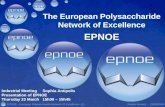 EPNOE - European Polysaccharide Network Of Excellence23/03/2006Patrick Navard -- (1) The European Polysaccharide Network of Excellence EPNOE Industrial.