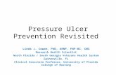 Pressure Ulcer Prevention Revisited Linda J. Cowan, PhD, ARNP, FNP-BC, CWS Research Health Scientist North Florida / South Georgia Veterans Health System.