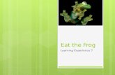 Eat the Frog Learning Experience 7. VIA – Values in Action  Enjoy laughter and making people laugh.  See the lighter side of life. “Nice to be here?