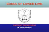 BONES OF LOWER LIMB ANATOMY DEPARTMENT Dr. Saeed Vohra ANATOMY DEPARTMENT Dr. Saeed Vohra.