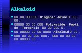 Alkaloid 질소 함유 식물성분으로 Biogenic Amine 을 제 외한 것임. 질소 함유 식물성분으로 Biogenic Amine 을 제 외한 것임. 아미노산의 최종 대사
