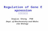Regulation of Gene Expression 基因表达调控 Deqiao Sheng PhD Dept. of Biochemistry and Molecular Biology.