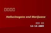 藥物濫用 Hallucinogens and Marijuana 賴滄海 教授 12-18-2009.