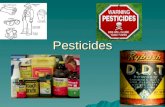 Pesticides. Pesticides -Pros and Cons  Kill unwanted pests that carry disease (rats, mosquitoes, Tse-Tse flies)  Increase food supplies  More food.