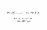 Population Genetics Hardy Weinberg Equilibrium. 6.1 Mendelian Genetics in Populations: The Hardy-Weinberg Equilibrium Principle.