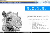 3.0.1.3.3 – Introduction to CGI 4/15/2004 3.0.1.3.3 - Introduction to CGI 1 3.0.1.3.3 Introduction to CGI – Session 3 · Introduction to CGI:  Data persistence.