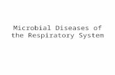 Microbial Diseases of the Respiratory System. Respiratory System.
