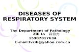 DISEASES OF RESPIRATORY SYSTEM The Department of Pathology Zili Lv 吕自力 15907817634E-mail:lvzili@yahoo.com.cn.