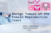 Benign Tumors of the Female Reproductive Tract 輔仁大學 實習醫師核心課程 新光吳火獅紀念醫院婦產科黃莉文.