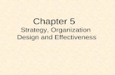 Chapter 5 Strategy, Organization Design and Effectiveness.