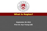 제목 서강대학교 교수학습센터 부소장 정유성 What is Region? September 29, 2014 Prof. Dr. Kyu Young LEE.