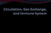 Circulation and Gas Exchange KnowWant to Know Gastrovascular Cavity vs. Open Circulatory System vs. Closed Circulatory System Label the systems above.