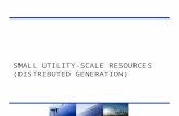 SMALL UTILITY-SCALE RESOURCES (DISTRIBUTED GENERATION) 1.