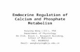 Endocrine Regulation of Calcium and Phosphate Metabolism Huiping Wang ( 王会平 ), PhD Department of Physiology Rm C516, Block C, Research Building, School.