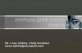 פתרונות J2EE וטכנולוגיות Oracle Mr. Liran Zelkha, Chief Architect Liran.zelkha@alunasoft.com.