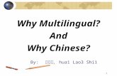 1 Why Multilingual? And Why Chinese? By: 花老师， hua1 Lao3 Shi1.