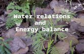 Water relations and Energy balance. Ψ= Water potential Ψ π = osmotic potential Ψ p = pressure potential Ψ g = gravitational potential Ψ m = matric potential.