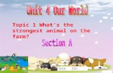 Topic 1 What’s the strongest animal on the farm? 南平九中 陈信飞.
