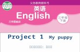 Project 1 My puppy 望亭中心小学：张丽娟 目标导航： 1. 词汇：四会 open, door, window, close, book, run, eat, talk, milk, pencil, pen, ruler, box, bird, desk, chair