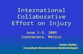 International Collaborative Effort on Injury June 1-3, 2005 Cuernevaca, Mexico Yvette Holder, Consultant Biostatistician/Epidemiologist.