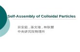 Self-Assembly of Colloidal Particles 田安庭, 孫文瑜, 林耿慧 中央研究院物理所.