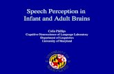 Speech Perception in Infant and Adult Brains Colin Phillips Cognitive Neuroscience of Language Laboratory Department of Linguistics University of Maryland.