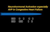Neurohormonal Activation especially AVP in Congestive Heart Failure 陈宇寰 丁 宁 高 柳 郭华秋 韩国嵩 臧 鹏.