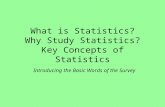 What is Statistics? Why Study Statistics? Key Concepts of Statistics Introducing the Basic Words of the Survey.