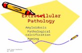 2nd Year Pathology 2010 Extracellular Pathology Amyloidosis Pathological calcification Pathological calcification Ageing Ageing.