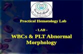 WBCs & PLT Abnormal Morphology Practical Hematology Lab - LAB -