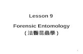1 Lesson 9 Forensic Entomology ( 法醫昆蟲學 ). 2 Activity 9.1 Introduction of Forensic Entomology Introduction of Forensic Entomology (