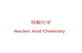 核酸化学 Nucleic Acid Chemistry. contents 1 introduction 2 compositiong 3 Structure 4 nucleic acid and nucleotide property.