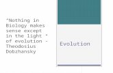 Evolution “Nothing in Biology makes sense except in the light of evolution”- Theodosius Dobzhansky.