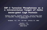 SHP-2 Tyrosine Phosphatase as an Intracellular Target of Helicobacter pylori CagA Protein Hideaki Higashi, Ryouhei Tsutsumi, Syuichi Muto,Toshiro Sugiyama,