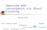 Improved BGP convergence via Ghost Flushing Yehuda Afek Anat Bremler-Barr Shemer Schwarzd המרכז הבינתחומי הרצליה.
