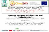 Dr Elsyed Sabry Mansour Senior Expert for Low Carbon Development / ENPI ClimaSouth المنعقدة بالتعاون بين برنامج كليماساوث ( الممول من الاتحاد