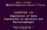 台大農藝系 遺傳學 601 20000 Chapter 19 slide 1 CHAPTER 19 Regulation of Gene Expression in Bacteria and Bacteriophages Peter J. Russell edited by Yue-Wen Wang.