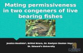 Mating permissiveness in two congeners of live bearing fishes Jessica Bautista*, Brittni Broca, Dr. Raelynn Deaton Haynes St. Edward’s University Jessica.
